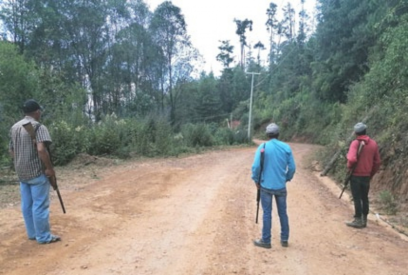 Pueblos de Guerrero se arman para proteger sus bosques